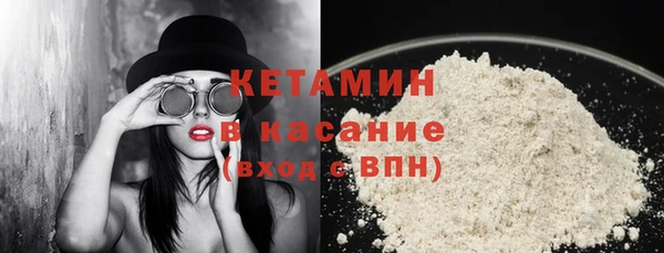 сатива Абинск