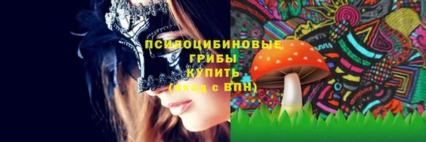 бошки Алексин