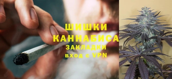 шишки Всеволожск