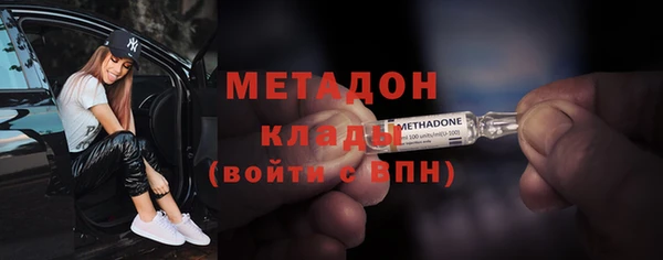 прущие грибы Покровск