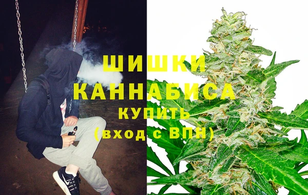 бошки Алексин
