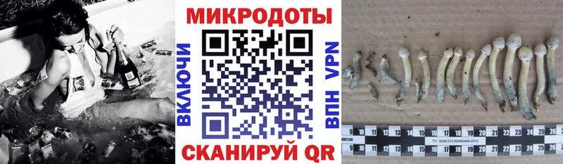 Галлюциногенные грибы мицелий  Котово 
